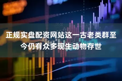 正规实盘配资网站这一古老类群至今仍有众多现生动物存世